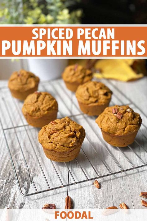 These seasonal muffins scream fall thanks to their sweet pumpkin and brown sugar base, and warming spices like cinnamon and cloves. Nutty pecans add an irresistible crunch to these fluffy, flavor-packed bites. Read more now to add this recipe to your collection of cool-weather morning treats. #pumpkinmuffins #foodal Nut Muffins Recipe, Morning Treats, Autumn Dessert, Nut Muffins, Spiced Pecans, Autumn Recipes, Spice Up Your Life, Fall Breakfast, Sweet Pumpkin