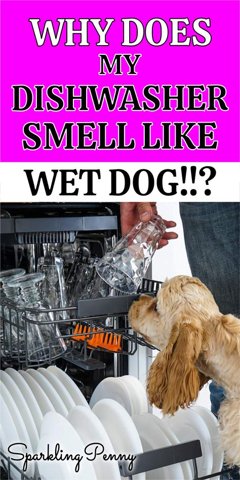 If your dishwasher smell like wet dog there is plenty you can do to service your dishwasher yourself without calling in a professional. Dishwasher Smells Bad, Homemade Dishwasher Soap, Dishwasher Smell, Homemade Dishwasher Detergent, Smelly Dog, Cleaning Your Dishwasher, Dishwasher Cleaner, Dog Smells, Wet Dog