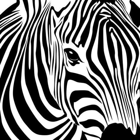 Great use of line! What animals could you use for a close-up portrait and show off their markings? Crochet Zebra Pattern, Crochet Zebra, Zebra Wall Art, Zebra Canvas, Zebra Wall, Zebra Art, Hur Man Målar, Arte Animal, White Colors