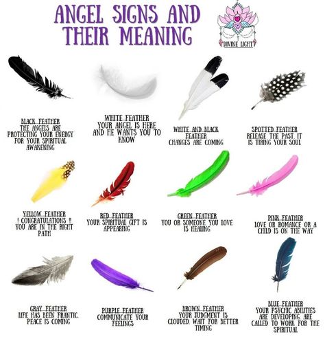 Harmony Marie Spiritual Healer on Instagram: “Feathers are beautiful messengers from our Spirit Guides & Angels. Do you find feathers on your path? Or maybe you haven't quite yet, but I…” Animal Symbols, Finding Feathers, Feather Signs, Feather Meaning, Magia Das Ervas, Angel Signs, Wiccan Spell Book, Witch Spell Book, Color Meanings