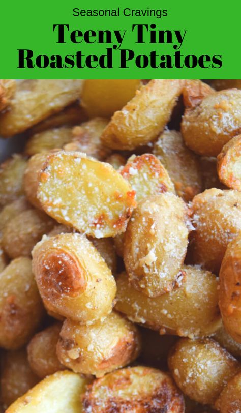 These Teeny Tiny Roasted Potatoes will become a family favorite. They are roasted to perfection and topped with salt and parmesan cheese!  #glutenfree #potatoes #sidedish #traderjoes via @lkkelly98 Teeny Tiny Potatoes Recipes Air Fryer, Small Gourmet Potatoes, Roasted Tiny Potatoes In Oven, Recipes Using Small Potatoes, Tiny Potatoes Recipes, Mini Roasted Potatoes In Oven, Mini Gold Potatoes Recipes, Roasted Tiny Potatoes, Mini Potatoes In Oven