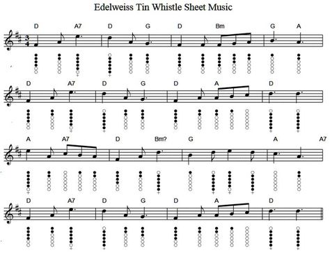 Celtic Instruments, Tin Whistle Sheet Music, Tin Whistles, Penny Whistle, Native American Flute Music, Irish Flute, Bagpipe Music, Native Flute, Tin Whistle