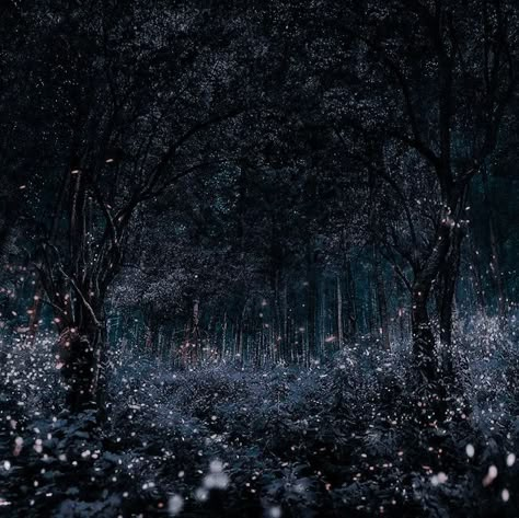 Fae Aesthetic, Royalty Aesthetic, Falling Stars, Fantasy Forest, Forest Wallpaper, Fantasy Places, Fantasy Aesthetic, Urban Fantasy, U Can