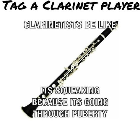 THE CURSE OF THE CLARINET PLAYERS!! ITS ALWAYS GOING THROUGH PUBERTY! Cursed Band Images, Clarinet Jokes, Clarinet Slander, Clarinet Humor, Funny Band Jokes, Band Puns, Bassoon Memes, Flute Memes Funny, Marching Band Jokes