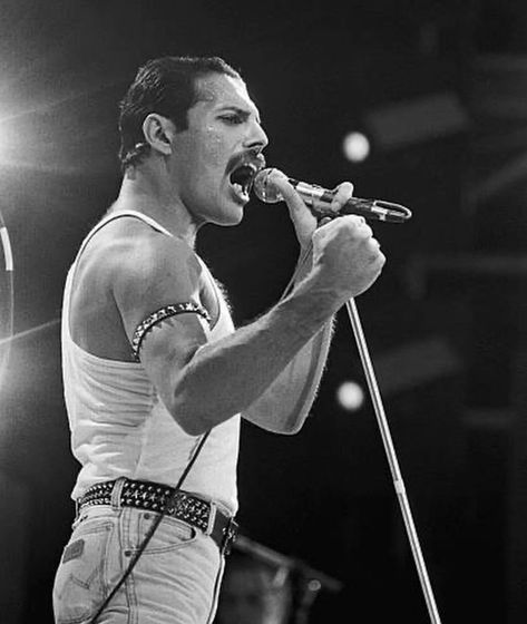 Freddie Mercury Live Aid, Freddie Mercury Tattoo, Rock Concerts, Freddy My Love, Live Aid, Freddy Mercury, Queen Freddie Mercury, Old Singers, Rocky Horror