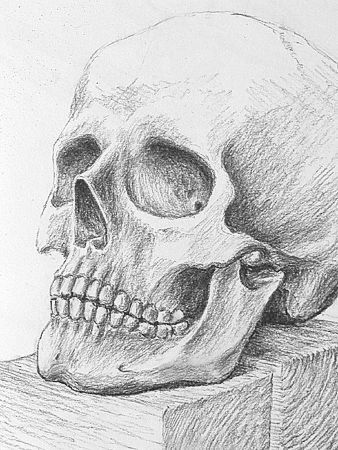 Shading Pictures To Draw, Creepy Realistic Drawings, Skull Shading Drawing, Skeleton Charcoal Drawing, Skull Charcoal Drawing, Charcoal Art Projects, Skeleton Head Sketch, Skeleton Head Art, Skull Shading