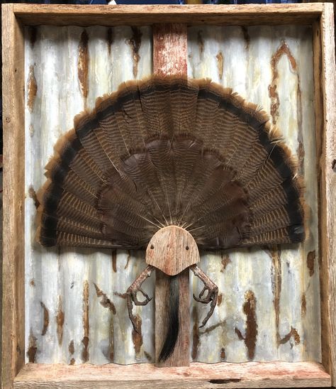 Diy Turkey Mount, Turkey Mount Ideas Display, Turkey Fan Mount Ideas Diy, Turkey Mount Ideas, Turkey Fan Mount Ideas, Archery Decor, Turkey Fan Mount, Turkey Display, Turkey Taxidermy