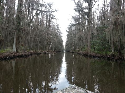 Caddo Lake Texas, Alex Kralie, Caddo Lake, Midwest Emo, American Gothic, Southern Gothic, Life Is Strange, Pretty Places, Lily Of The Valley