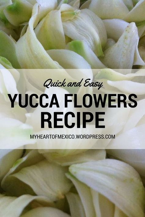 A Quick and Easy Way to Cook Yucca Flowers | My Heart of Mexico Yucca Flower Recipes, Yucca Recipe, Yucca Flower, Farm Flowers, Wild Food Foraging, Food Foraging, Yucca Plant, 2023 Recipes, Foraged Food