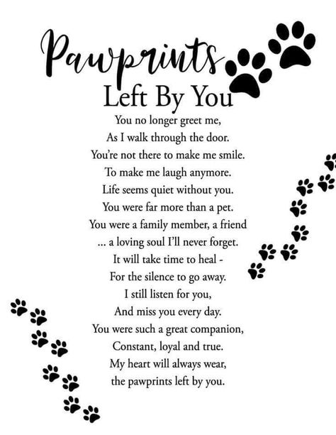 Missing My Pet Dogs, Remembering Dog Quotes, Missing My Puppy Quotes, Poems For Losing A Dog, Missing Pets Quotes Dogs, Poems About Losing A Pet Cat, Grieve Dog Quotes, Losing My Dog Quotes, Loosing My Dog Quotes