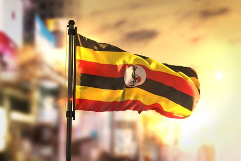 Ugandan Flag, Uganda Flag, Financial Intelligence, Ponzi Scheme, Fourth Industrial Revolution, Pyramid Scheme, Crypto Exchange, Money Laundering, Blurred Background