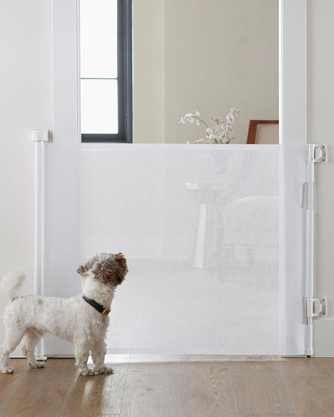 Cumbor Baby Gate Retractable Gates for Stairs, Mesh Dog Gate for The House, Wide Pet Gate 33" Tall, Extends to 55" Wide, Long Child Safety Gates for Doorways, Hallways, Cat Gate Indoor/Outdoor(White) Retractable Pet Gate, Retractable Dog Gate, Cat Gate, Baby Gate For Stairs, Retractable Baby Gate, Kids Gate, Retractable Gate, Stair Gate, Baby Gate