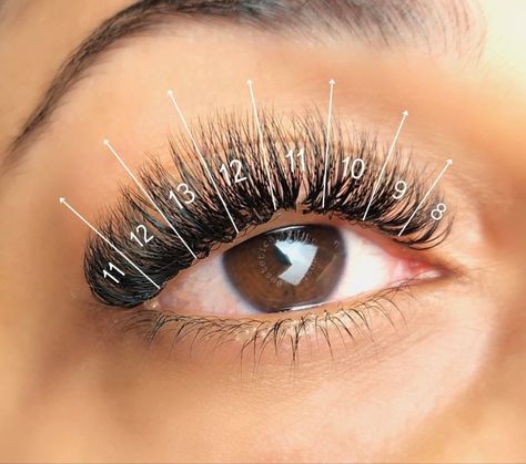 Map Eyelash Extensions, Baddie Mentality, Eyelash Map, Hybrid Eyelashes, Lashes Map, Eyelash Growth Cycle, Types Of Eyelash Extensions, Lash Ideas, Lash Maps