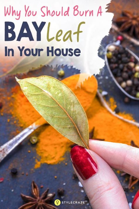 Burn a Bay Leaf in Your House. The Reason? You’ll be Amazed! Bay Leaf Benefits, Burning Bay Leaves, Hooded Eyelids, Healthy Advice, Eye Lift, Bay Leaf, Bay Leaves, Medicinal Herbs, Health Advice