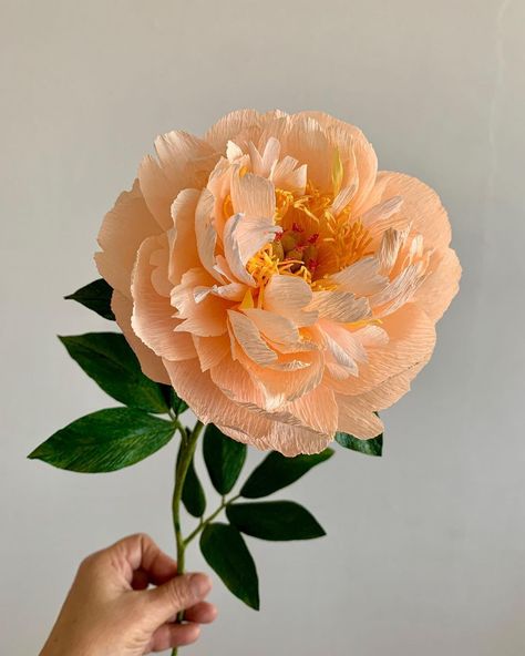 Crepe Paper Peony, Flower Petal Art, Crepe Paper Crafts, Crepe Paper Flowers Diy, Paper Peony, Modern Art Canvas Painting, Flower Bouquet Diy, Paper Peonies, How To Make Paper Flowers