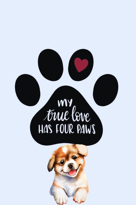 Cute dog love quotes for dog lovers!❤️🥰 #doglovequotes #doglovequotesunconditional #meandmydogquotesunconditionallove #petdogquotesunconditionallove #dogquoteslovebestfriends Quotes For Dog Lovers, Dog Love Quotes, Mood Right Now, Dog Lover Quotes, Dog Quotes Love, Touching Words, Dog Quotes Funny, Dog Facts, Pet Animals