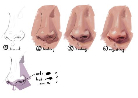 Nose Studies, Procreate Lessons, Digital Portrait Tutorial, Drawing Noses, Nose Tutorial, Tips On Drawing, Nose Drawing, Human Anatomy Art, Flat Nose