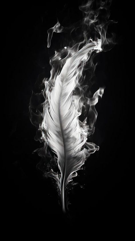 Fire Black And White Aesthetic, Feather Aesthetic Wallpaper, Wings Wallpaper Aesthetic, Wings Concept Art, Fire Black Background, Fire Wallpaper Aesthetic, Wallpapers Fire, Burning Feather, Intro Pictures