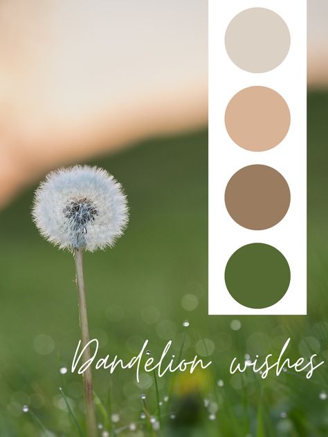 Dandelion wishes, color palette, photography inspo, wedding color palette, color theory Dandelion Color Palette, Dragonfly Color Palette, Design Seeds Color Palette Nature, Dandelion Correspondences, Dandelion Moodboard, Dandelion Wish, Soft Summer, Color Palette Design, Wedding Color Palette