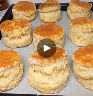 16K views · 581 reactions | Goodbye butter ,hello oil!🤩This oil-based scone recipe is a game changer.Watch now to learn how to make the  softest scones ever! | By Laina's Baked Creations | Try this easy scone recipe and
these are the softest scones ever and guess what? You don't
need any margarine. You using oil for this recipe. So first
sift three cups plain flour, a pinch of salt and 2 tablespoons
baking powder. And then you add 1 third cup sugar. And you mix
it up just to combine the sugar properly. Then in a jug or cup
or whatever. Uh add 2 eggs. Four tablespoons oil and enough
milk to make 350 mils. That's about two two hundred and 50
mils like one cup. But you just measure to make 350 mils. Then
pour that egg mixture into your dry ingredients. And mix to
form a dough. I started usin Easy Scone, Cornish Cream Tea, How To Make Scones, Wrap Flowers, Scones Recipe Easy, Scones Easy, Two Two, Cream Tea, How To Wrap Flowers