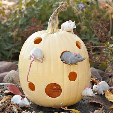 Mouse House - The plastic mice caught in the act of squeezing into this cheesy condo will make your trick-or-treaters shriek with fright. Rat Pumpkin, Unique Pumpkin Decorating, Cool Pumpkin Designs, Funny Pumpkin Carvings, Pumpkin Stencils Free, No Carve Pumpkin Decorating, Halloween Decor Diy, Creative Pumpkin Carving, Easy Pumpkin Carving