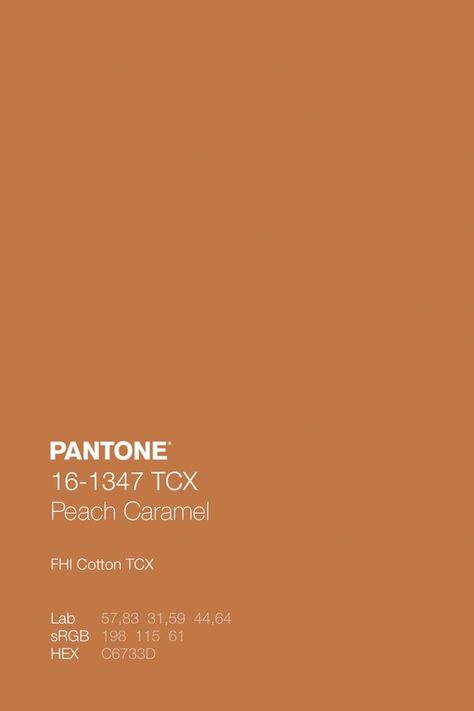 Pantone Chart, Mood Boards Color, Peach Caramel, Orange Color Code, Pantone Orange, Terracotta Walls, Terracotta Color Palette, Orange Palette, Colorful Website