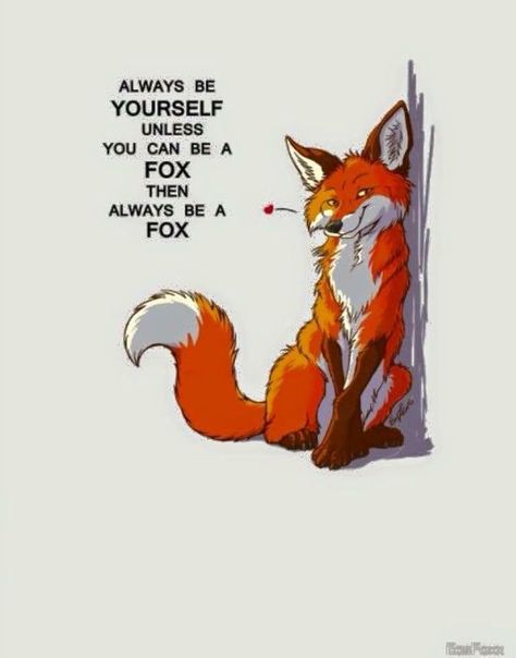 Fox Quotes, Inspirational Animal Quotes, Latest Kate, Friendly Fox, Cute Animal Quotes, Fox Sake, Fox Pictures, Animal Symbolism, Fairytale Illustration