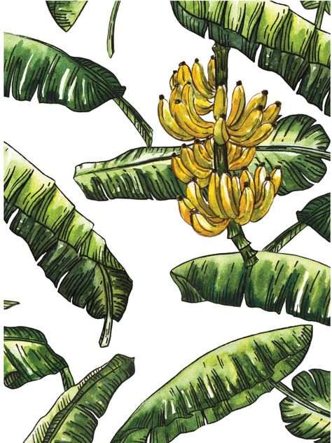 Part of Banana tree have leaves and fruit design to pattern Banana Tree Tattoo, Fruit Tree Drawing, Banana Tree Drawing, Kerala Poster, Drawing Leaves, Tree Branch Tattoo, Banana Wallpaper, Banana Leaf Art, Bu Jo