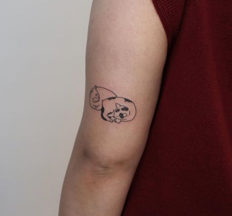 Caroline on Instagram: “Sleeping cats . . . #cattattoo #cat #armtattoo #peachtattoo #winetattoo #suntattoo #handpoked #handpokedtattoo #stickandpoke #sticknpoke…” Sleepy Cat Tattoo, Sleepy Tattoo, Sleeping Cat Tattoo, Wine Tattoo, Peach Tattoo, Garden Tattoos, Sleeping Cats, Hand Poked Tattoo, Sleeping Kitten