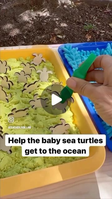 A preschool teacher and mom in CA ☀️ on Instagram: "Throwback to a favorite summer preschool activity for World Turtle Day! 🐢💕  The preschoolers and I read Sea Turtles by Gail Gibbons and Turtles by Melvin and Gilda Berger  The preschoolers helped baby turtles rush to the sea using tongs (building strong fingers and hands) to carefully carry them🐢🌊  Materials from @dollartree 💚  Science 🐢Fine Motor 🐢Sensory🐢 . . . #worldturtleday  #preschoolstem  #preschoolscience  #preschoolathome  #gailgibbons  #saveturtles" Sea Turtle Crafts For Toddlers, Marine Activities Preschool, World Animal Day Activities, Ocean Theme Activities For Kids, Sea Animal Activities For Toddlers, Sea Turtle Activities, Turtle Activities For Toddlers, Sea Animals Activities, Turtle Activities For Preschool