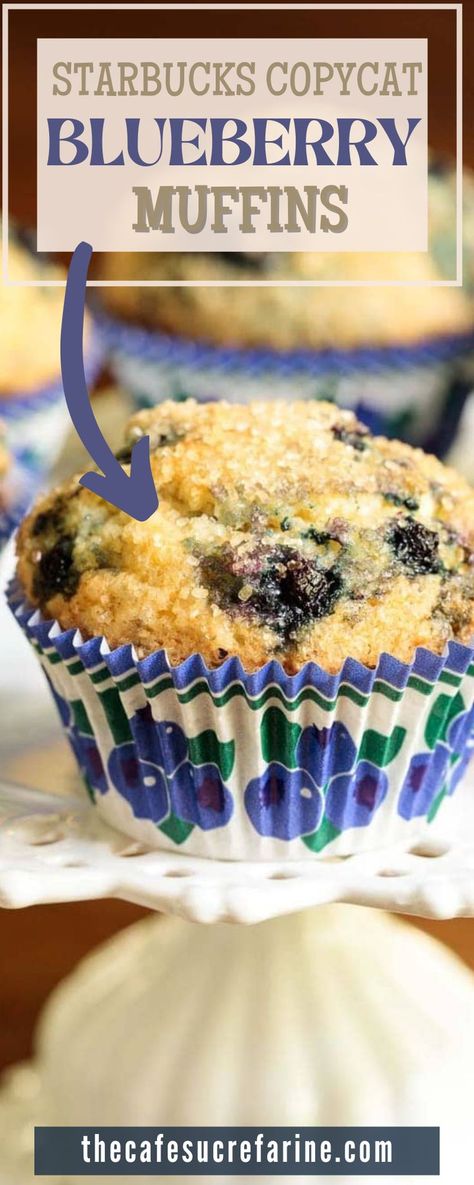 Copycat Blueberry Muffins, Starbucks Blueberry Muffin Recipe, Starbucks Blueberry Muffins, Starbucks Muffins, Muffin Top Recipes, Muffin Base, Blueberry Muffin Topping, Blueberry Yogurt Muffins, Easy Blueberry Muffins