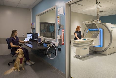 Ethos Veterinary Emergency and Referral Center - Animal Arts Veterinary Emergency, Vet Practice, New Hospital, Animal Hospital, Radiology, The Hospital, Ultrasound, Animal Art, Hawaii