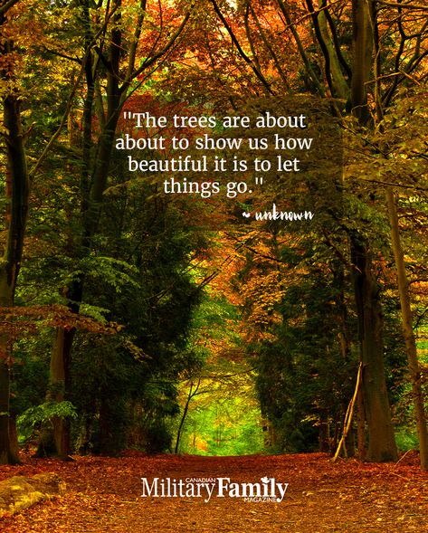 Today marks the first day of Autumn! "The trees are about to show us how beautiful it is to let things go." - unknown Let Things Go, First Day Of Autumn, Family Magazine, Military Family, It's Fall, Show Us, How Beautiful, First Day, Letting Go