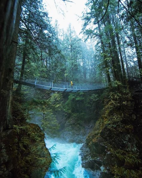 Lynn Canyon Suspension Bridge, Lynn Canyon, Camping With Cats, Cascade Falls, Falls Creek, Suspension Bridge, Lake Forest, Mountain Lake, Camping Life