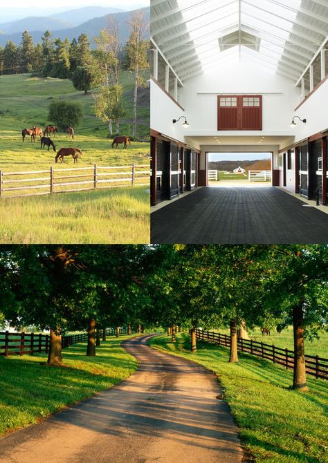 Property !!!!!!! Owning Property Aesthetic, Beautiful Properties, Equestrian Property, Future Board, Property Ideas, Dream Barn, Living Ideas, Second Chance, Just Beautiful