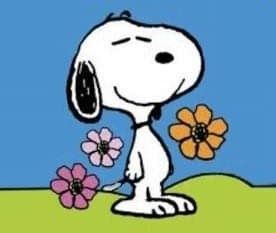 PEANUTS - Snoopy with flowers Bird Cartoon Character, Bird Cartoon, Snoopy Wallpaper, Snoopy Pictures, Snoopy Friends, Charlie Brown Snoopy, Snoopy And Friends, Snoopy Love, Snoopy Woodstock