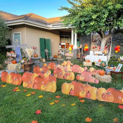 create a pumpkin patch in your front yard using photorealistic pumpkins and treat stations with goodies for all Pumpkin Patch Diy, Luau Baby Showers, Diy Treats, Party Planning Ideas, Wedding Projects, Halloween Front Porch, Classroom Inspiration, Haunted Mansion, Planning Ideas