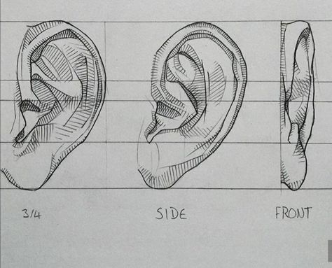 Ears Drawing, Ear Drawing, How To Draw Ears, 얼굴 드로잉, Human Anatomy Art, Portraiture Drawing, Sketches Tutorial, Pencil Art Drawings, Art Drawings Sketches Creative