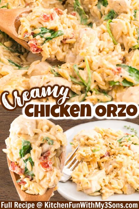 Chicken Orzo Spinach Casserole, Chicken And Shrimp Orzo, Tuscan Chicken Orzo Casserole, One Pan Chicken Orzo Bake, Ground Chicken And Orzo, One Pan Orzo Chicken Bake, Orzo Tuscan Chicken Bake, Cheesy Chicken Orzo, Dump And Bake Chicken Orzo