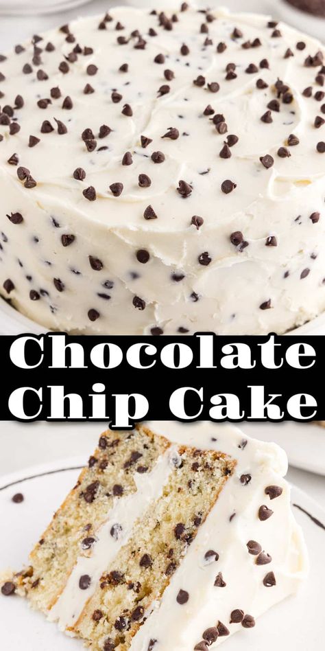 This is the best chocolate chip cake you have ever tasted! It's a two layer moist vanilla cake with chocolate bits throughout, and smothered with fluffy homemade chocolate chip buttercream made with pantry staples. Chocolate Chip Cake With Cream Cheese Frosting, Vanilla Cake With Chocolate Chips, Teddy Graham Cake, Chocolate Chip Birthday Cake, Chocolate Chips Cake, Graham Cake, Chocolate Chip Cake Recipe, Homemade Buttercream, Moist Vanilla Cake