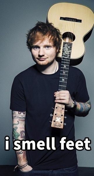 Ed Sheeran Wallpaper, Ed Shiran, Ed Sheeran Memes, Ed Sheeran Facts, Good Phone Backgrounds, Ed Sheeran Lyrics, Ed Wallpaper, 5sos Lyrics, Galway Girl