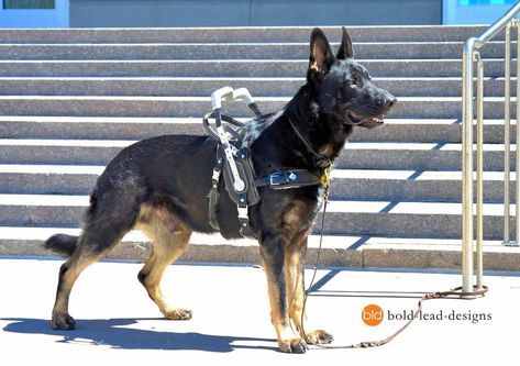 Task: Counter-Balance & Bracing﻿ - MY CRPS SERVICE DOG Mobility Service Dog, Service Dog Harness, Service Dog In Training, Dog Biting Training, Service Dog Gear, Dog Training School, Psychiatric Service Dog, Service Dogs Gear, Medication For Dogs