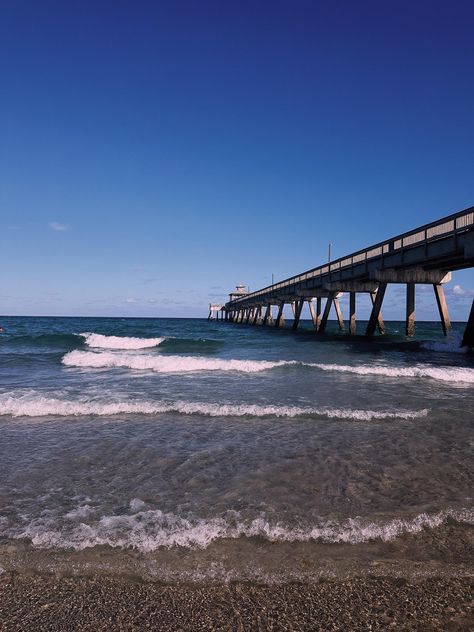 Beach Florida Aesthetic, Deerfield Beach Florida, Florida Aesthetic, Florida Beaches, Beach Florida, Miami, Florida, Travel, Quick Saves