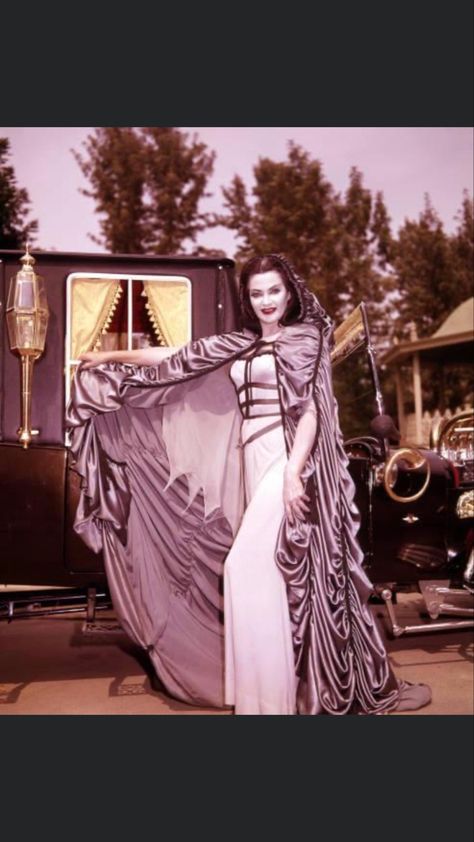 Lily Munster Cosplay, Lily Munster Costume, Lilly Munster, Spooky Icons, Munsters Tv Show, 22nd Bday, 70s Tv, The Munster, Lily Munster