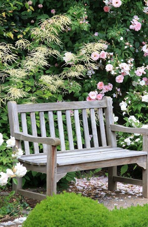 Chair Classic, English Garden Design, Decorative Gravel, Perennial Vegetables, Backyard Landscape, Garden Chair, Classic Garden, Classic Outdoor, Garden Path