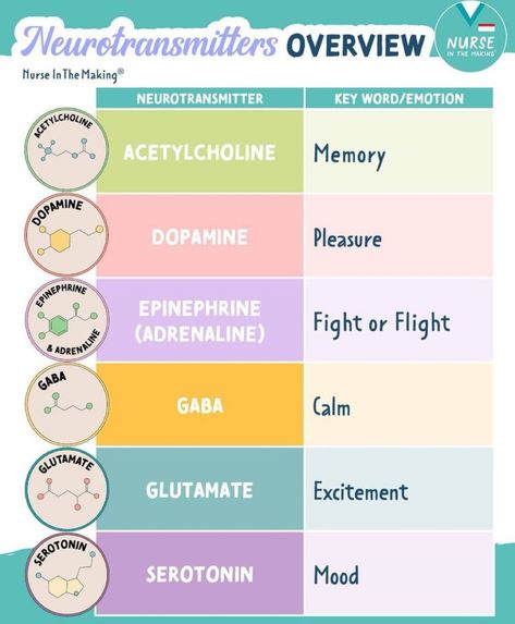 Nursing Students Study Notes Mental Health, Neuro Nursing Notes, Mental Health Nursing Student, Neuro Pharmacology, Fnp Study Cheat Sheets, Nsaids Pharmacology, Nursing Fundamentals Study Guides, Neuro Nursing, Pharmacy Technician Study