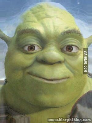 Master Shrek Get Out Of My Swamp, Shrek Memes, Fresh Memes, Me Too Meme, Shrek, Tumblr Posts, Just For Fun, Reaction Pictures, Dankest Memes