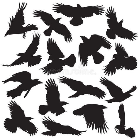 Crow silhouette set 02. Crow silhouette collection vector set 02 You guys can ch , #affiliate, #set, #Crow, #silhouette, #collection, #guys #ad Scary Birds, Reaper Drawing, Grey Ink Tattoos, Symbols Of Strength Tattoos, Crow Silhouette, Crows Drawing, Crow Tattoo, Strength Tattoo, Silhouette Tattoos