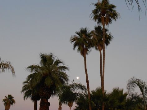 Summer Feeling, Jolie Photo, Summer Dream, Summer Breeze, What’s Going On, Pretty Places, Mykonos, Honolulu, Summer Nights