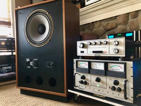 Audiophile Systems, Steve Guttenberg, Audiophile Listening Room, Phono Cartridge, Speaker Plans, Big Speakers, Cabinet Plans, Listening Room, High Tech Gadgets